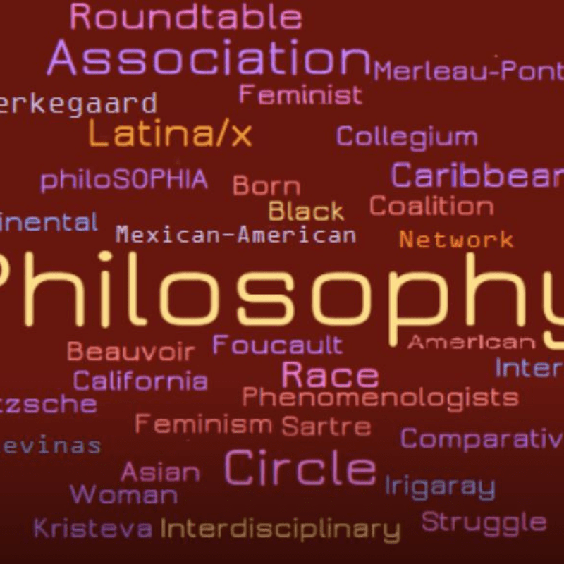 word cloud of various terms reflecting race and philosophy