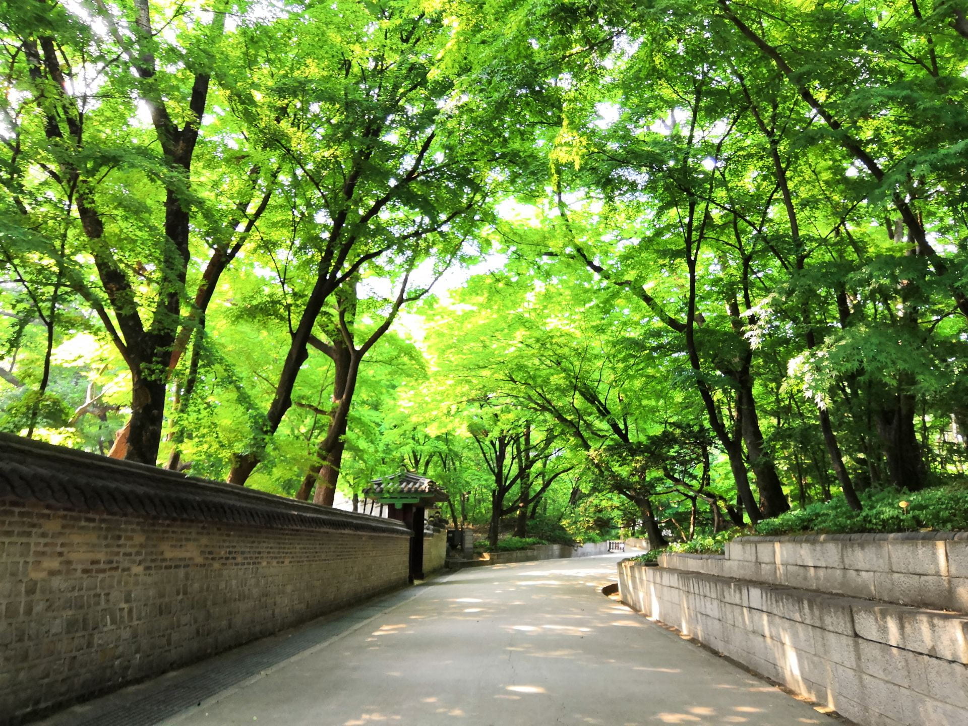 area outside the walls of a shrine in South Korea with a lot of greenery